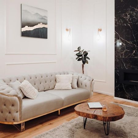 Fabulous And Fancy City Center Designer Apartment 克卢日-纳波卡 外观 照片