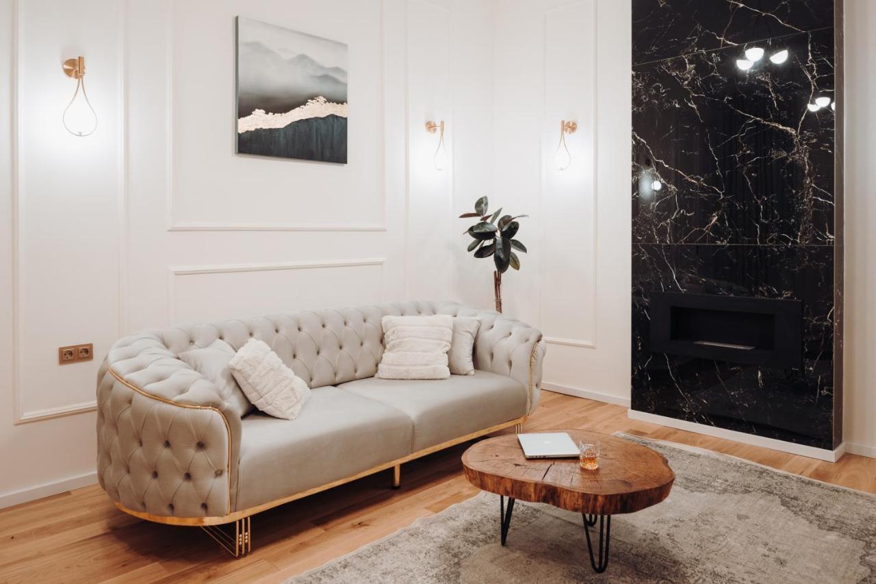 Fabulous And Fancy City Center Designer Apartment 克卢日-纳波卡 外观 照片