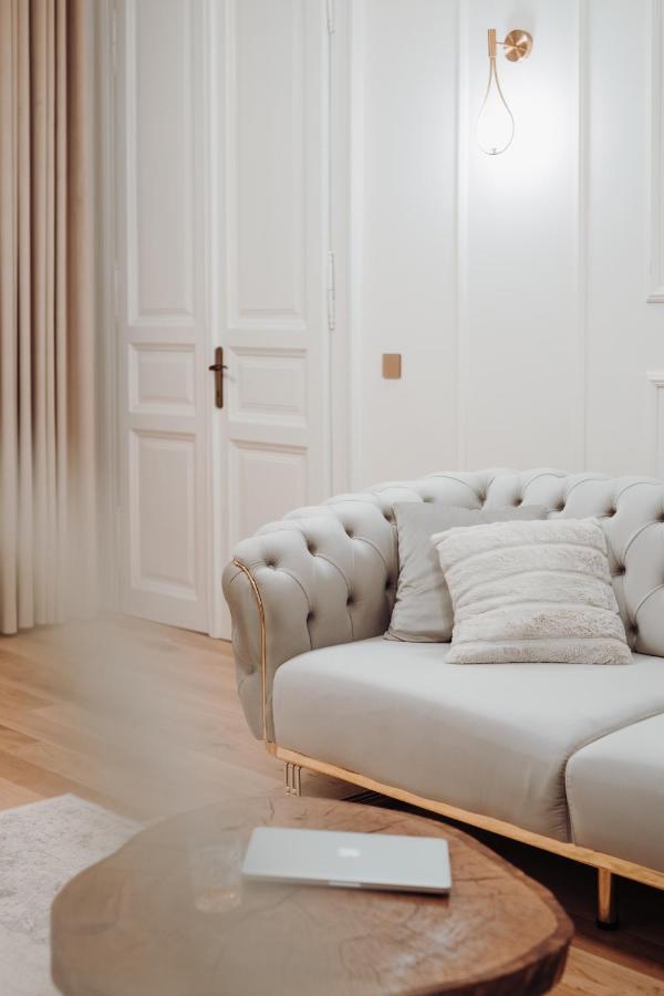 Fabulous And Fancy City Center Designer Apartment 克卢日-纳波卡 外观 照片