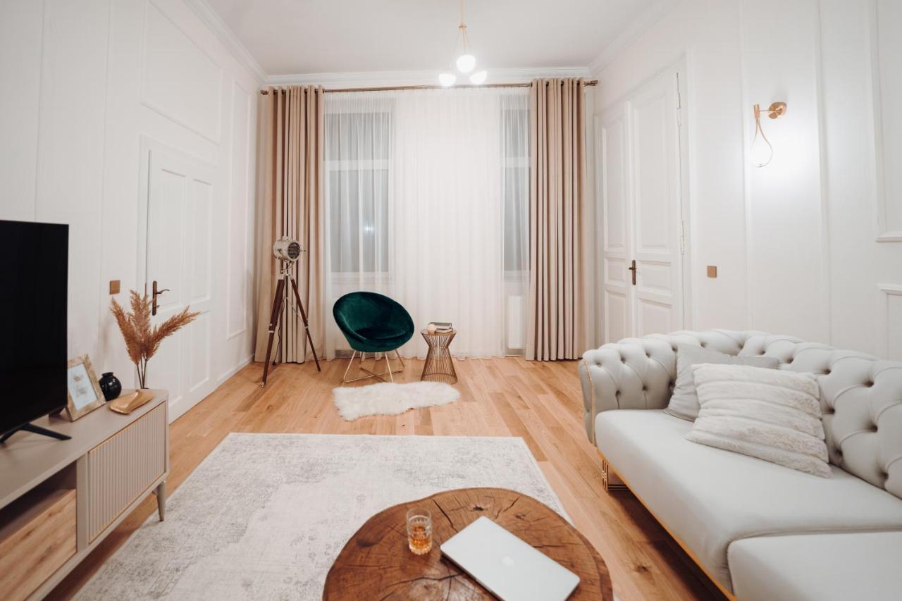 Fabulous And Fancy City Center Designer Apartment 克卢日-纳波卡 外观 照片