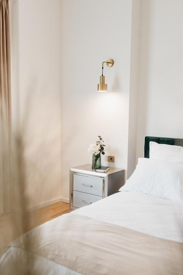 Fabulous And Fancy City Center Designer Apartment 克卢日-纳波卡 外观 照片